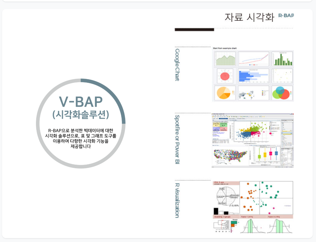 Web Chart, BI 도구와 R 시각화를 활용하는 V-BAP 소개 자료